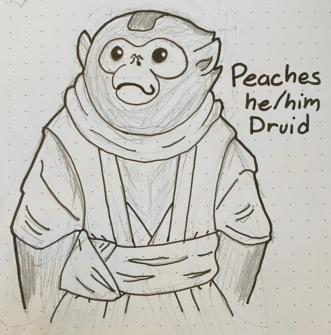 Peaches D&D Character Novemver 2025